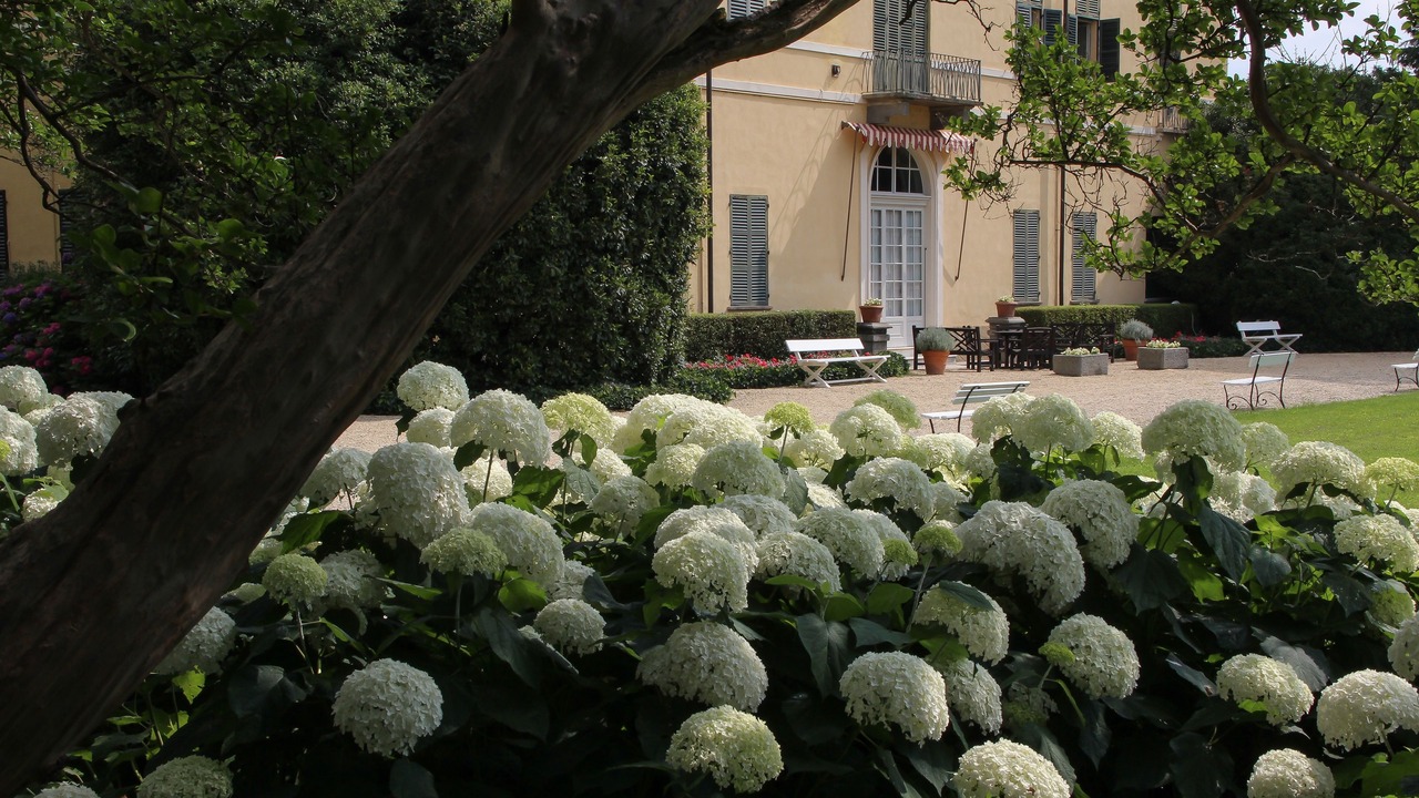 Photo of Outdoor in Pinerolo