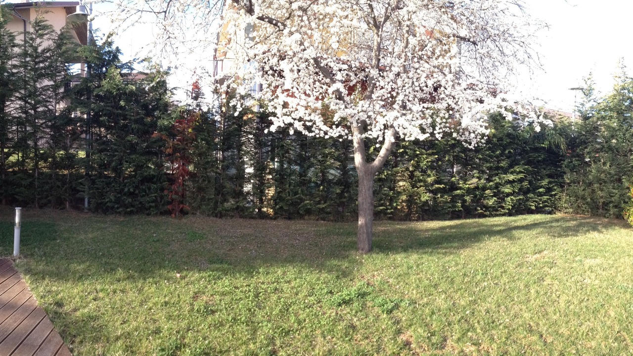Photo of Outdoor in Villanova Mondovi
