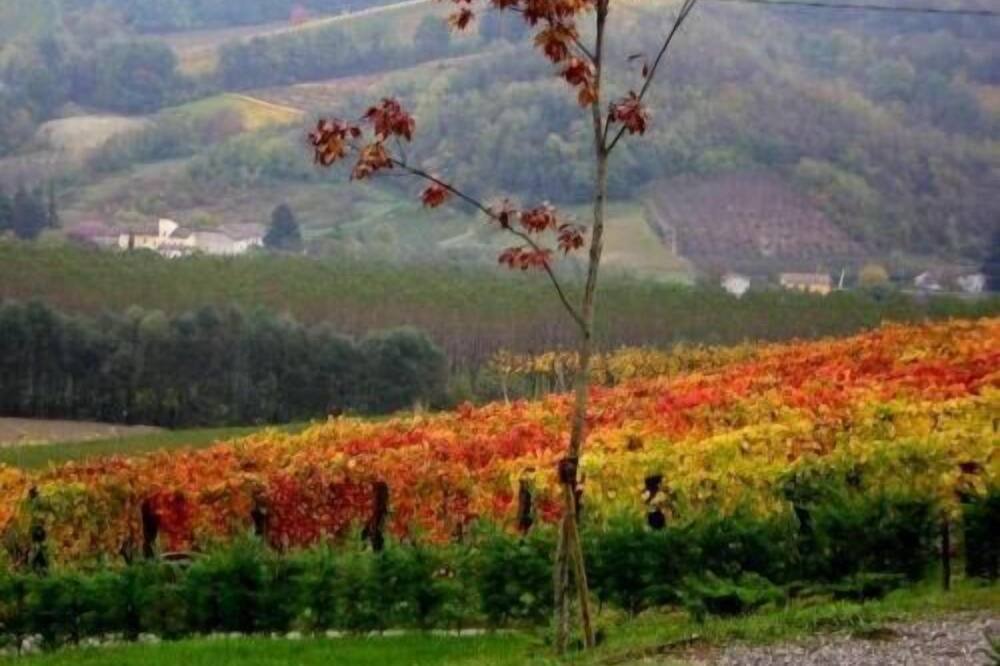 Photo of Outdoor in San Marzano Oliveto