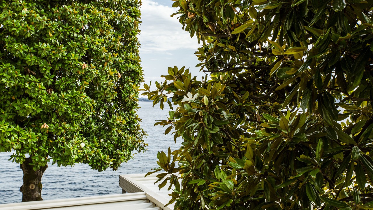 Photo of Others in Gardone Riviera