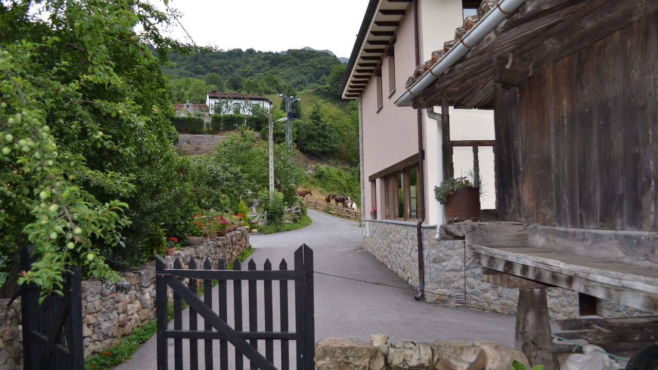 Photo of Outdoor in Fresnedo