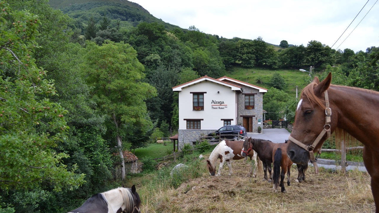 Photo of Outdoor in Fresnedo