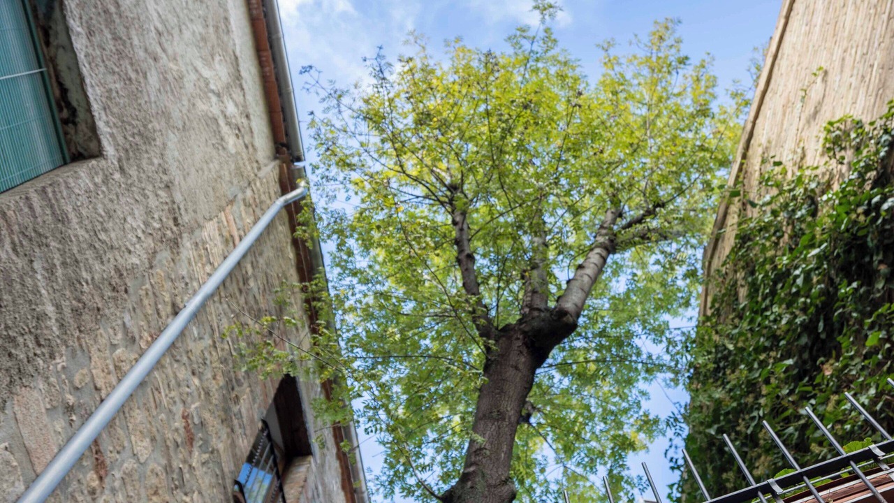 Photo of Outdoor in Solsona