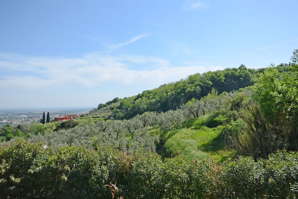 Photo of Others in Pieve a Nievole