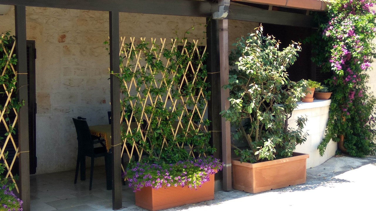 Photo of Outdoor in Gorgofreddo