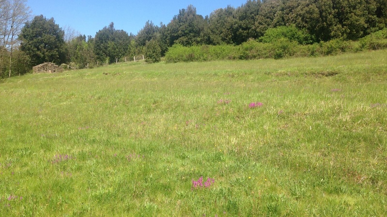 Photo of Outdoor in Varese Ligure