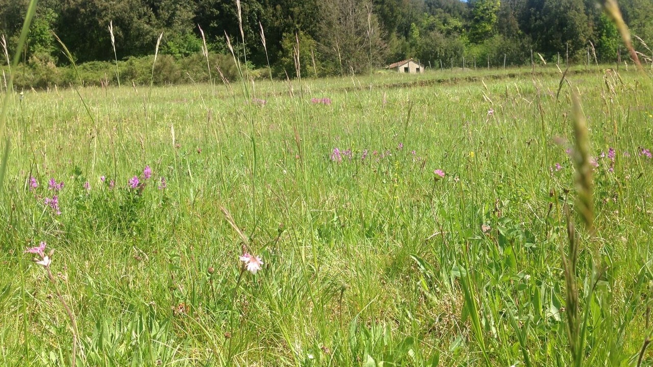 Photo of Outdoor in Varese Ligure