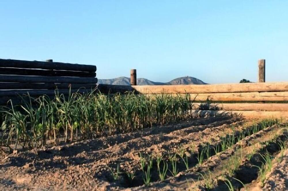 Photo of Outdoor in Serra de Daro