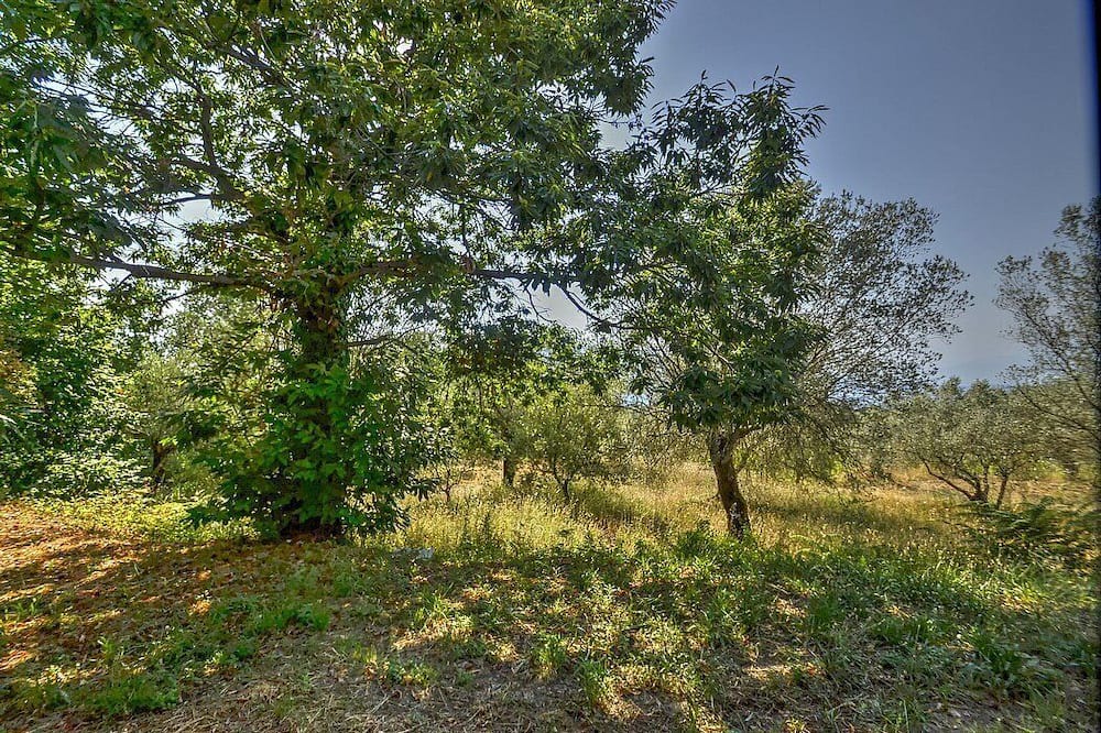 Photo of Outdoor in Sessa Aurunca