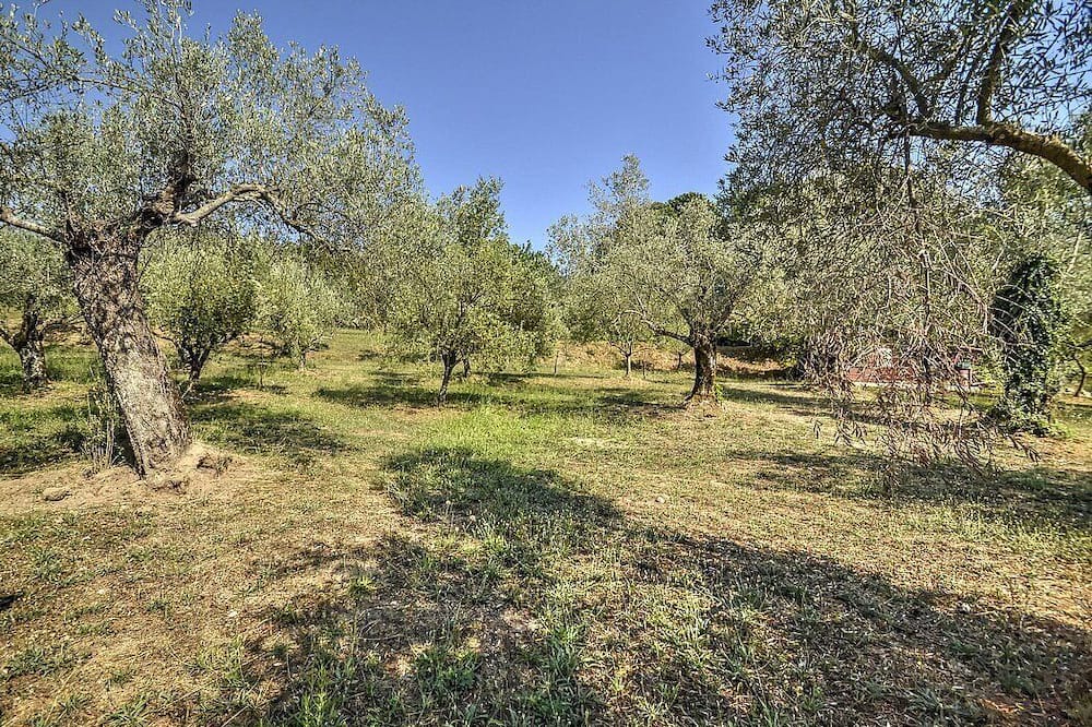 Photo of Outdoor in Sessa Aurunca