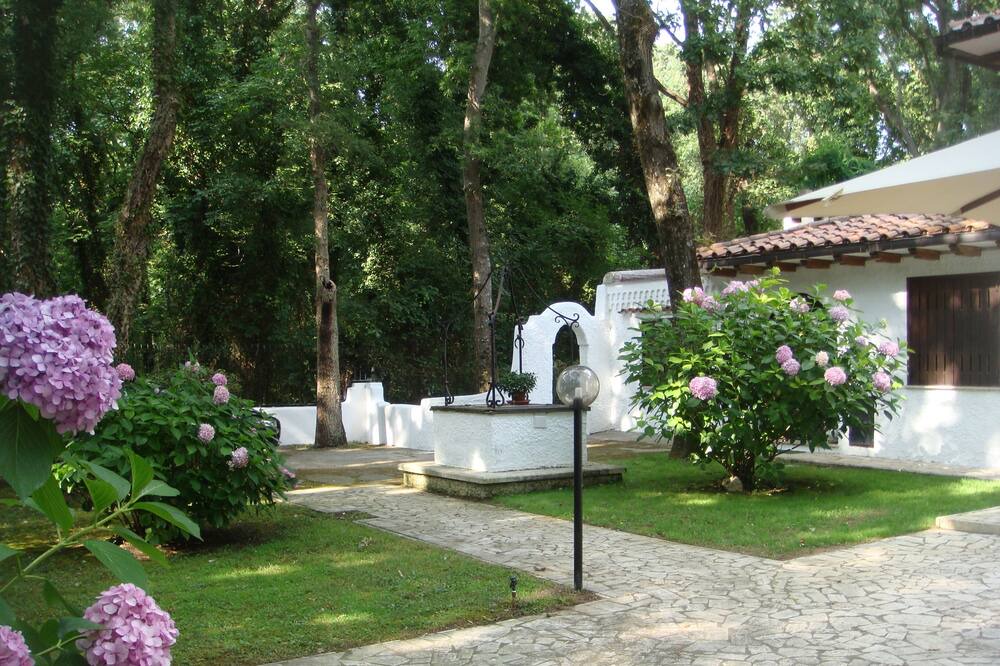 Photo of Outdoor in Sabaudia