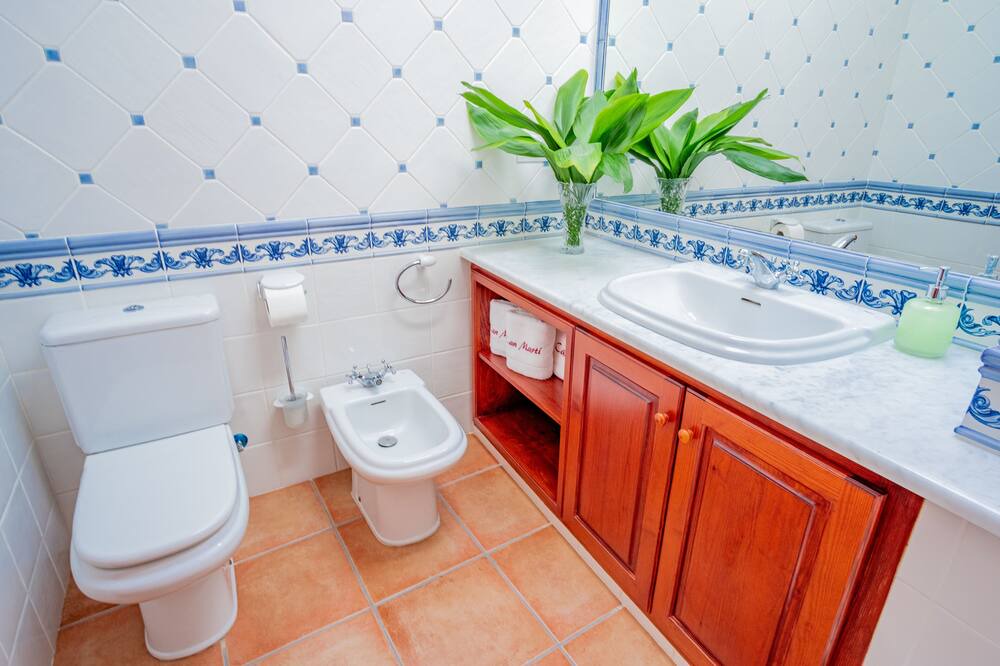 Photo of Bathroom in Capmany