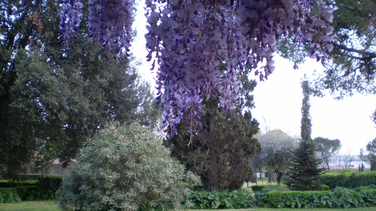 Photo of Outdoor in Borghesiana