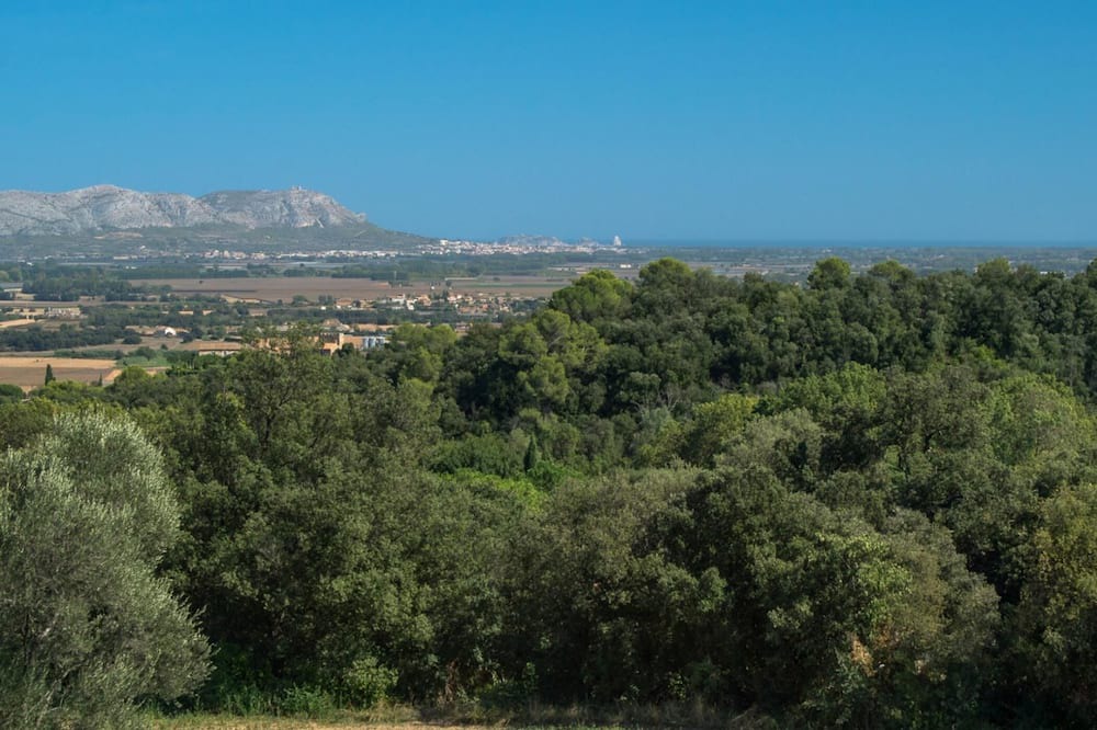 Photo of Outdoor in Foixa