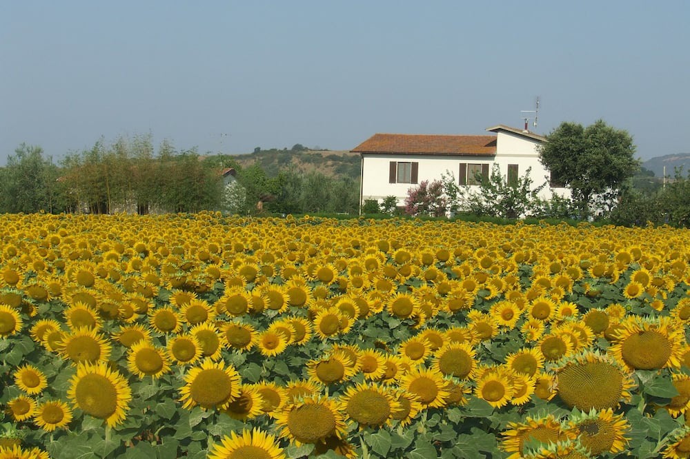 Photo of Outdoor in Arcille