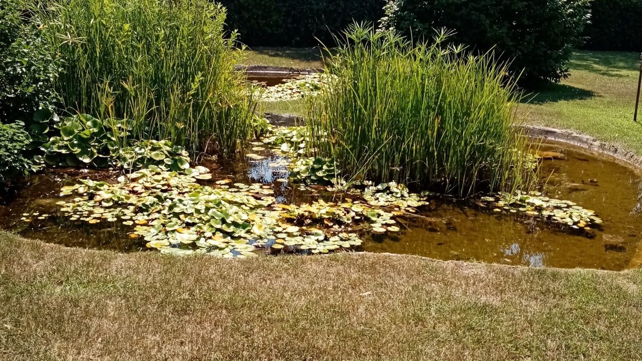 Photo of Outdoor in Sabaudia