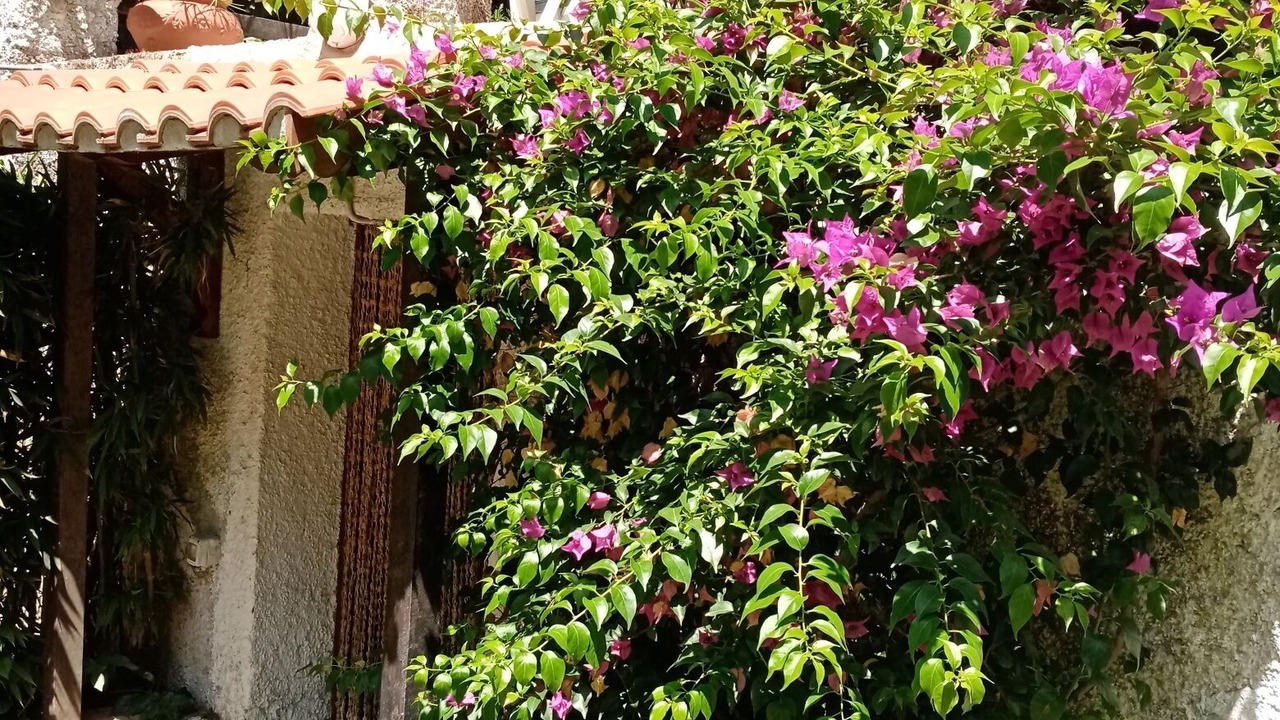 Photo of Outdoor in Sabaudia