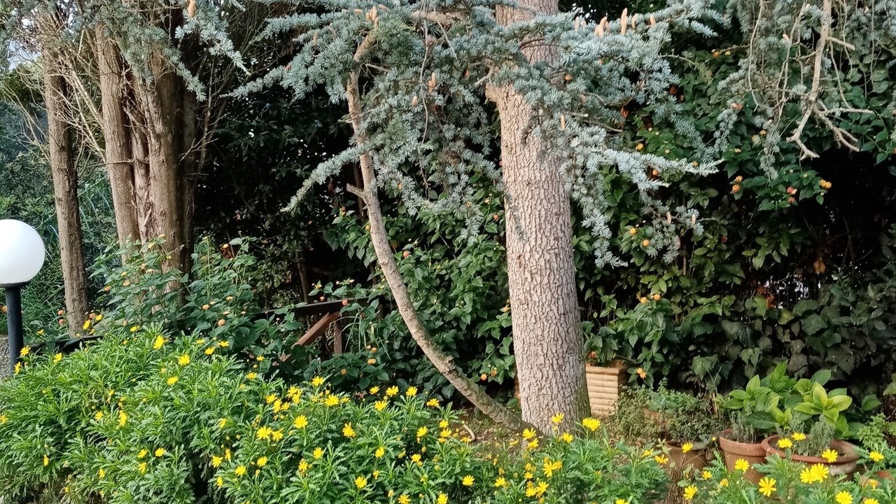 Photo of Outdoor in Sabaudia