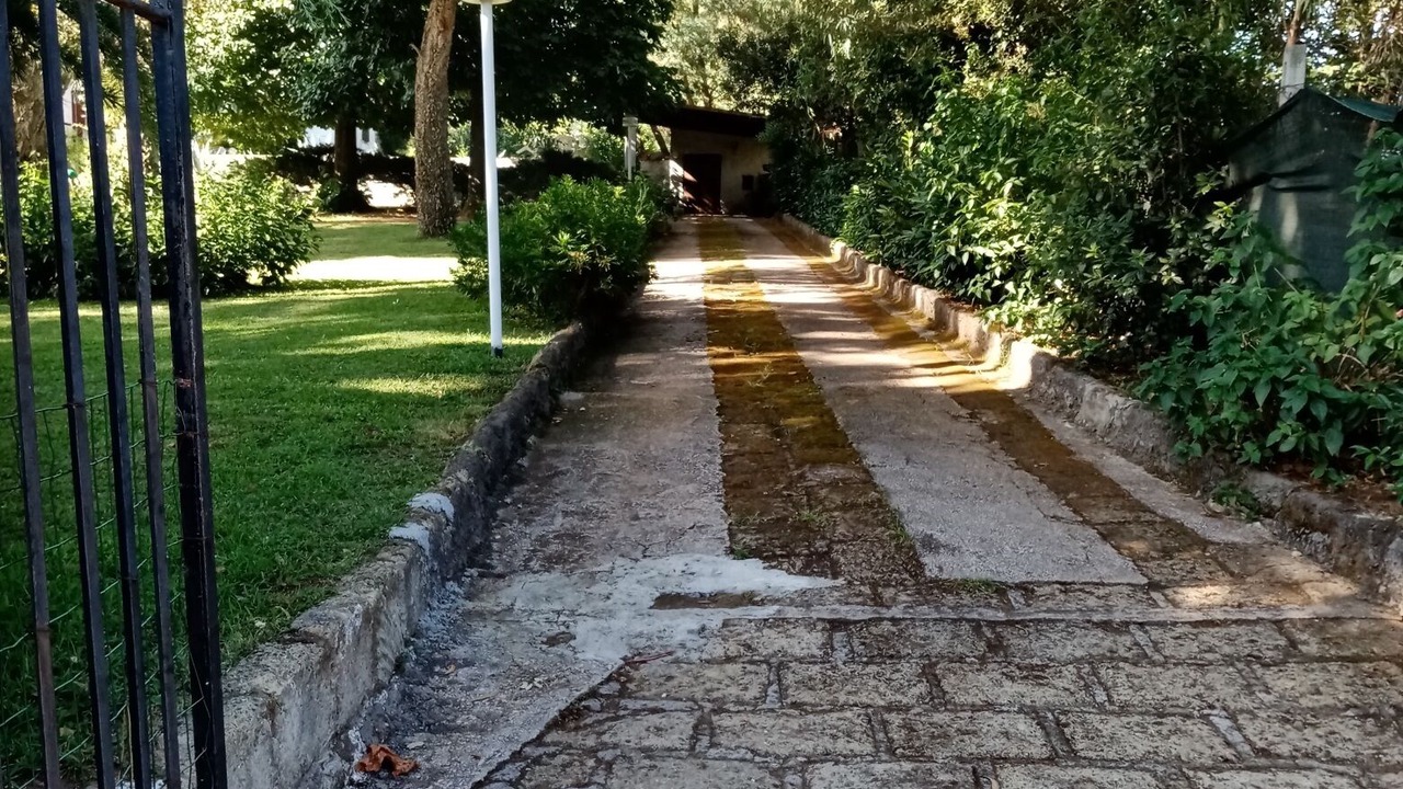Photo of Outdoor in Sabaudia
