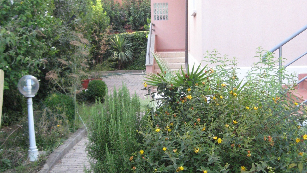Photo of Outdoor in Bolognina