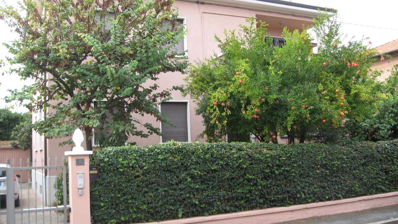 Photo of Outdoor in Bolognina