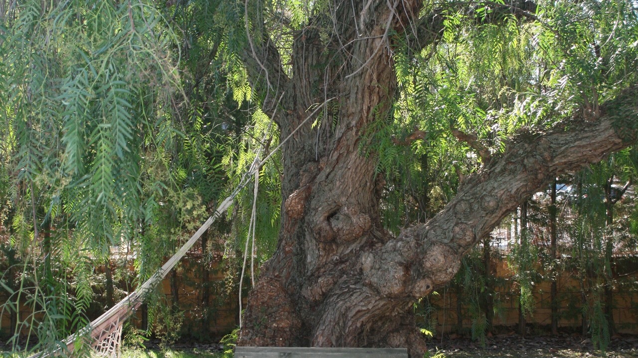 Photo of Outdoor in Navajas