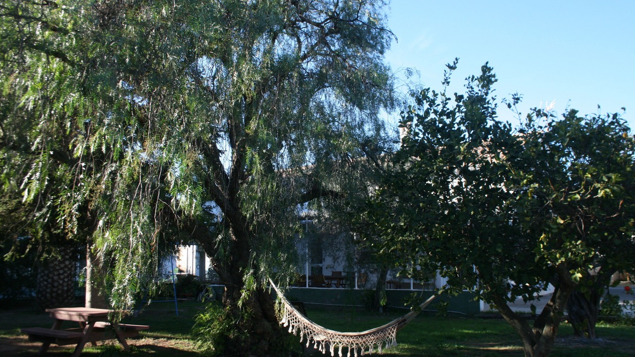 Photo of Outdoor in Navajas