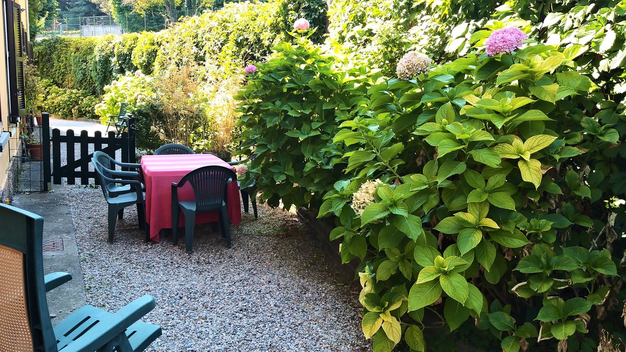 Photo of Outdoor in Erba