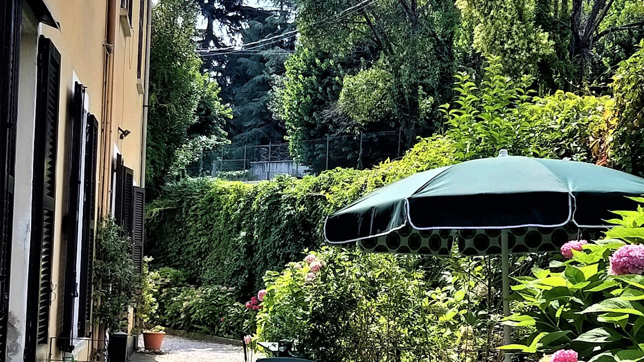 Photo of Outdoor in Erba