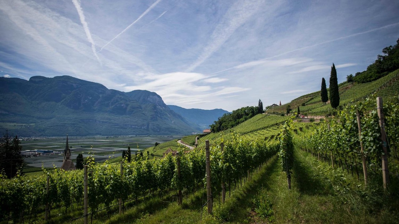 Photo of Outdoor in Pianizza Di Sopra
