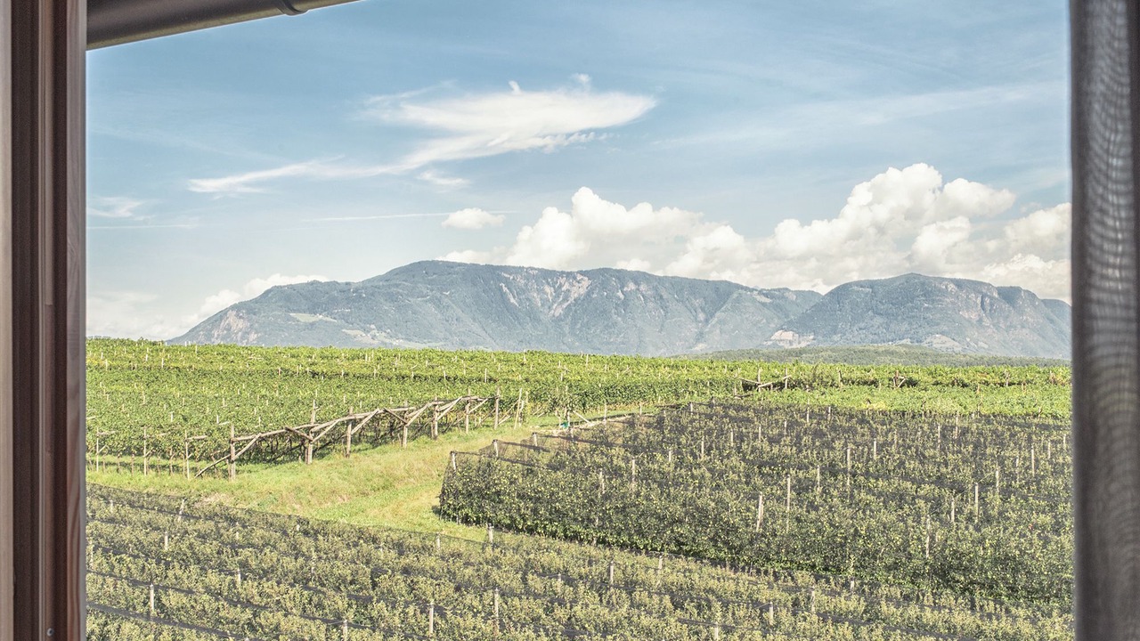 Photo of Outdoor in Pianizza Di Sopra