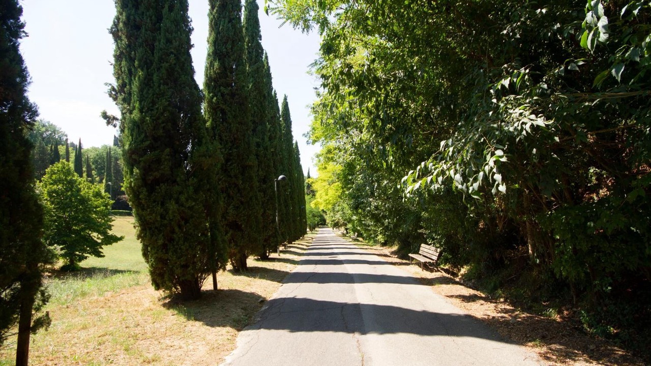 Photo of Outdoor in Poggibonsi