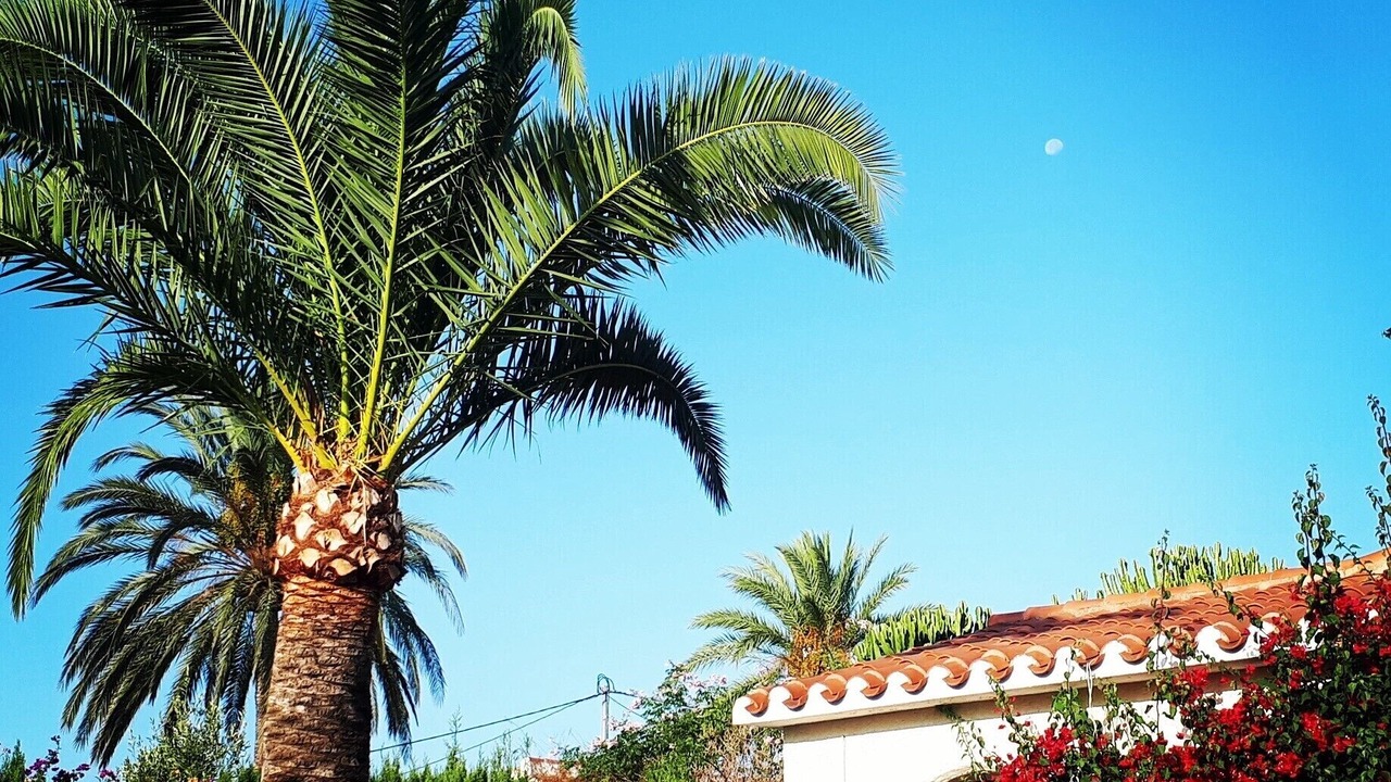 Photo of Outdoor in La Colina
