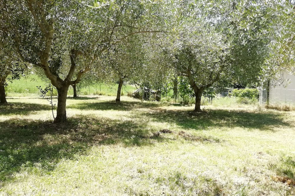 Photo of Outdoor in Colli al Volturno