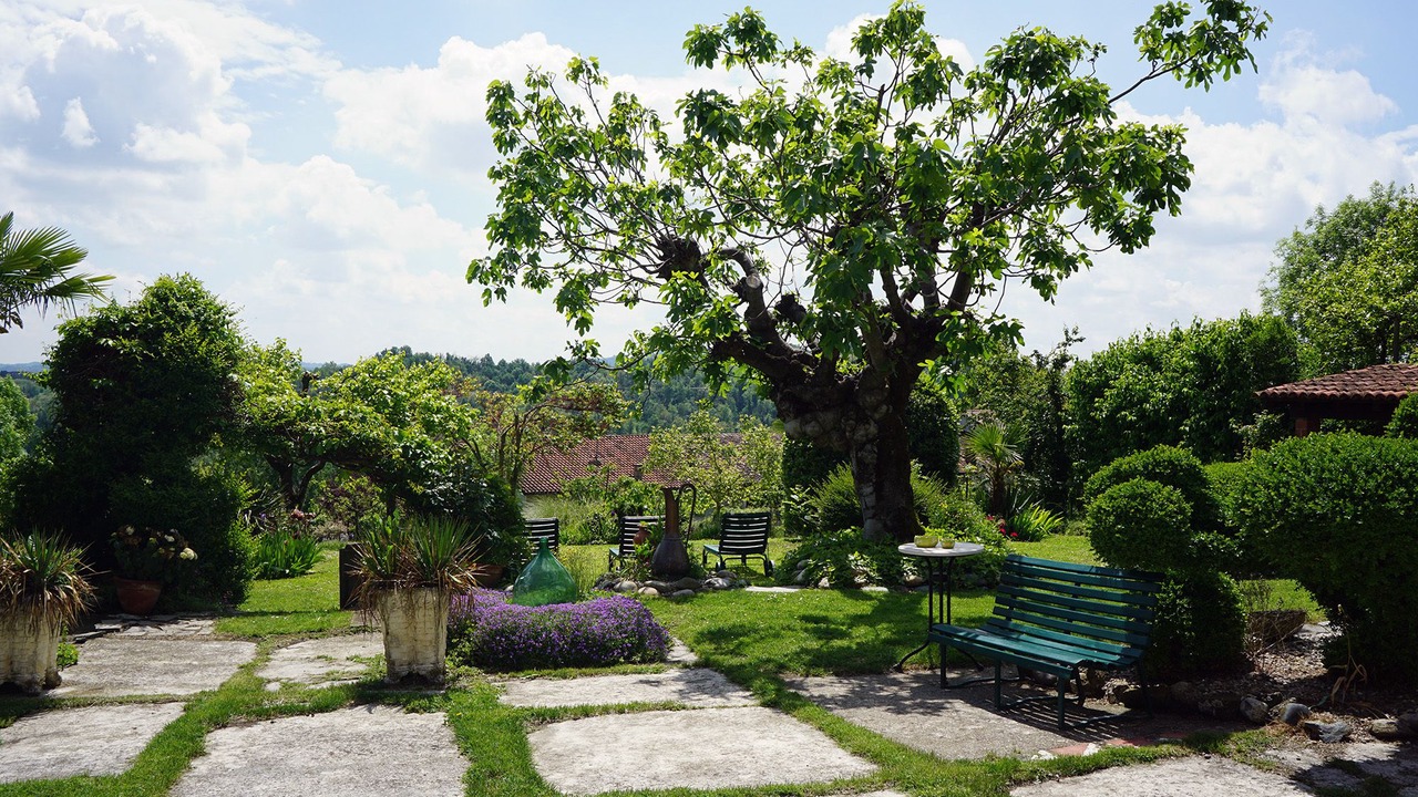 Photo of Outdoor in Camino