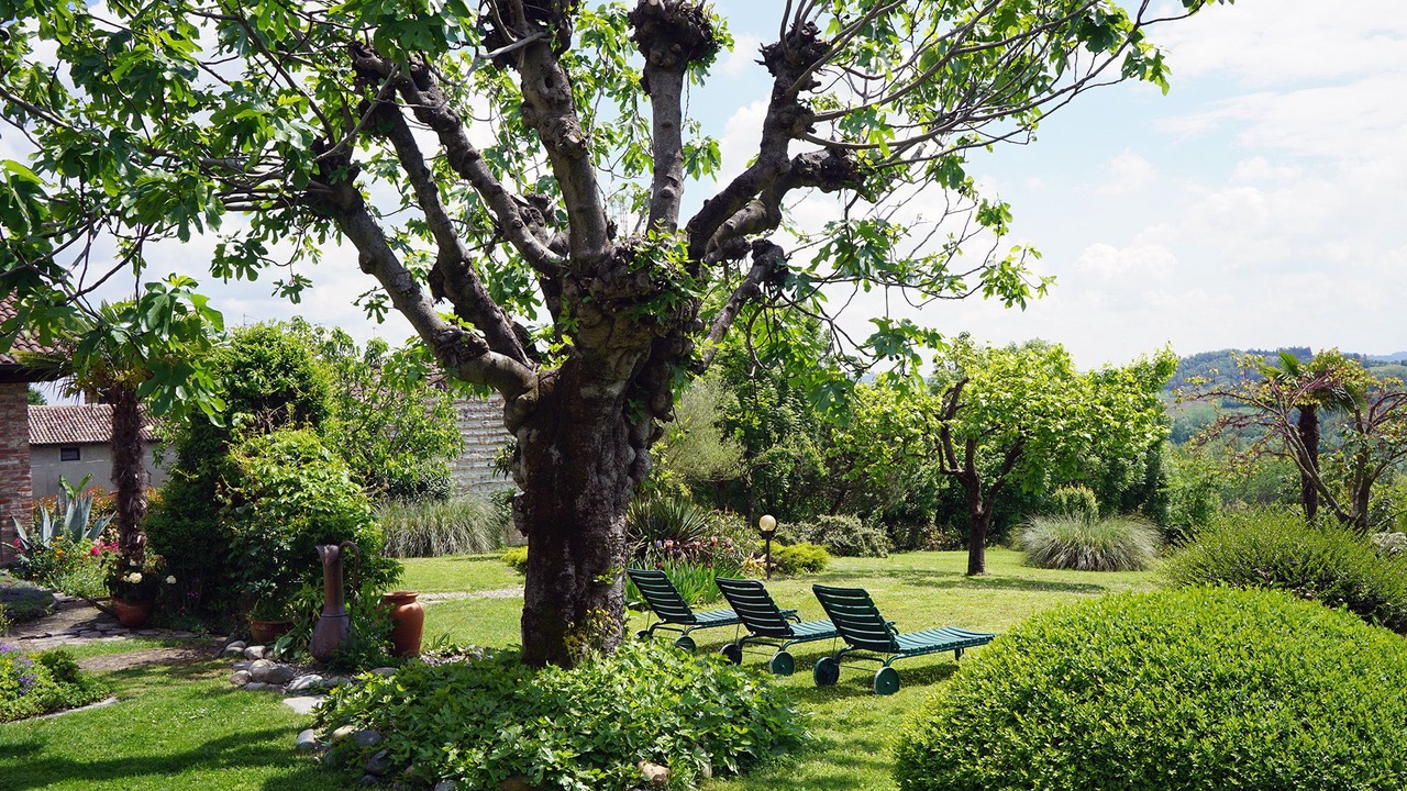Photo of Outdoor in Camino