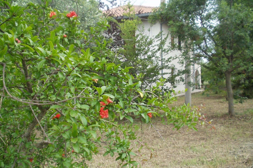 Photo of Outdoor in Nocciano