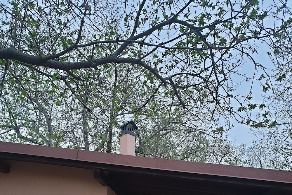 Photo of Outdoor in Segni
