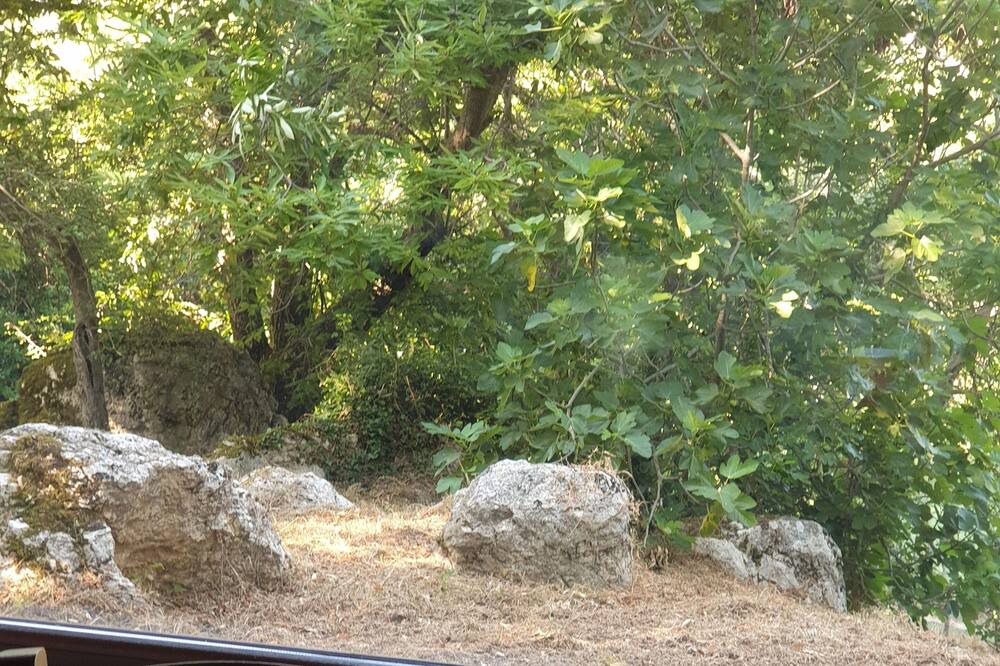 Photo of Others in Segni