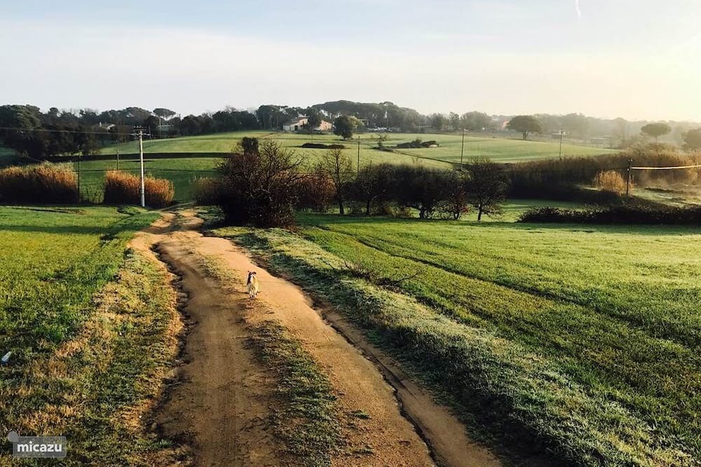 Photo of Outdoor in Macanet de la Selva
