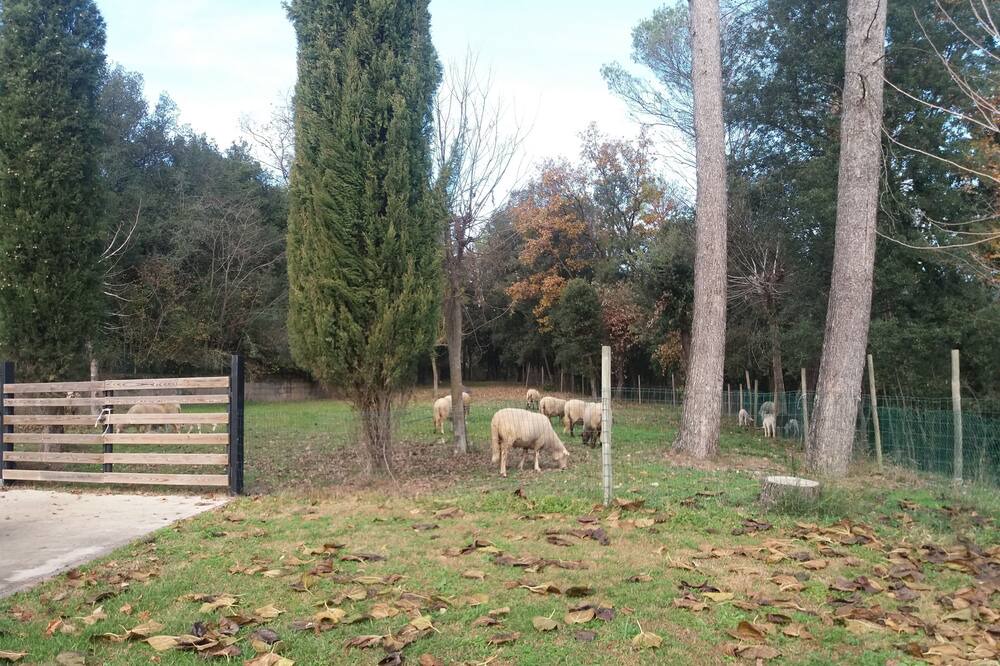 Photo of Outdoor in Oix