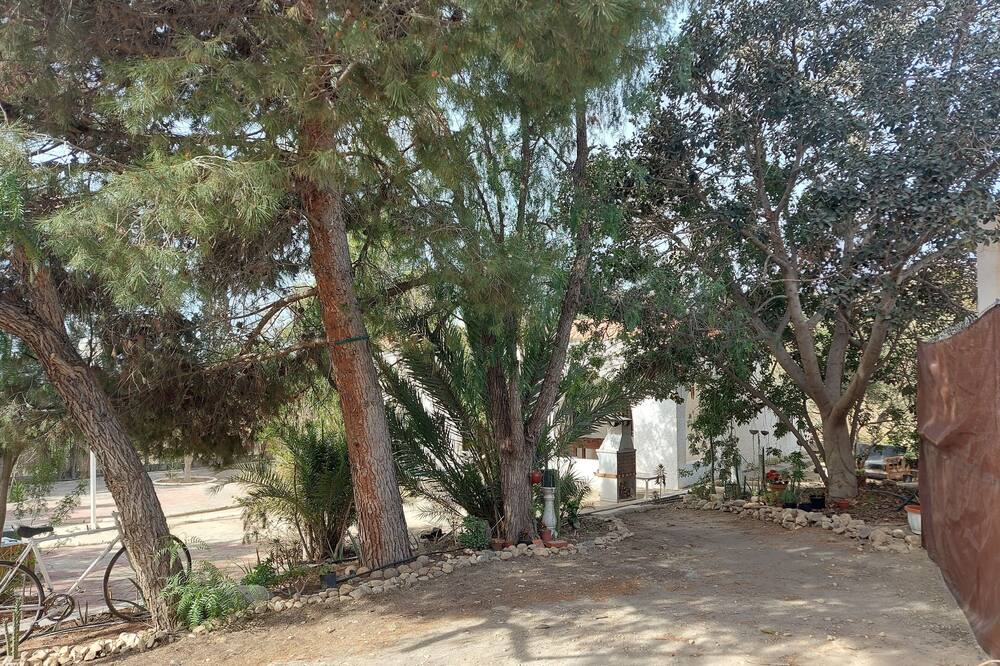 Photo of Outdoor in Pechina