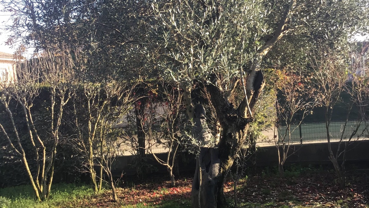 Photo of Outdoor in Buon Pastore-Sant'Agnese-San Damaso