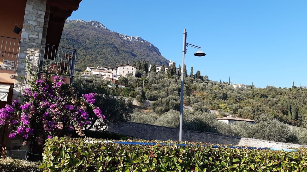 Photo of Outdoor in Cecina