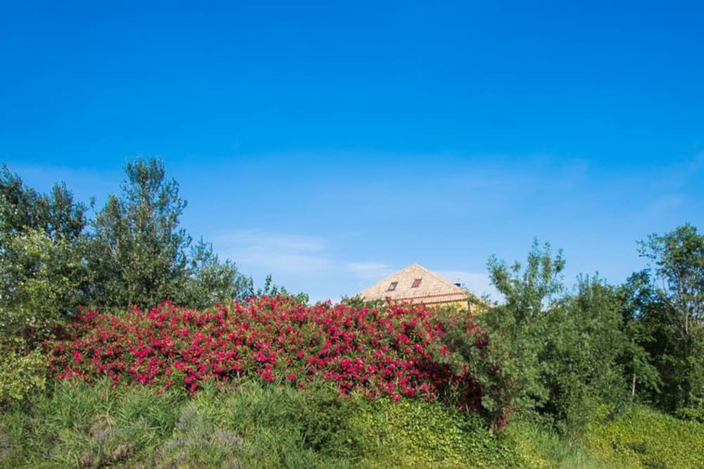 Photo of Outdoor in Calatorao