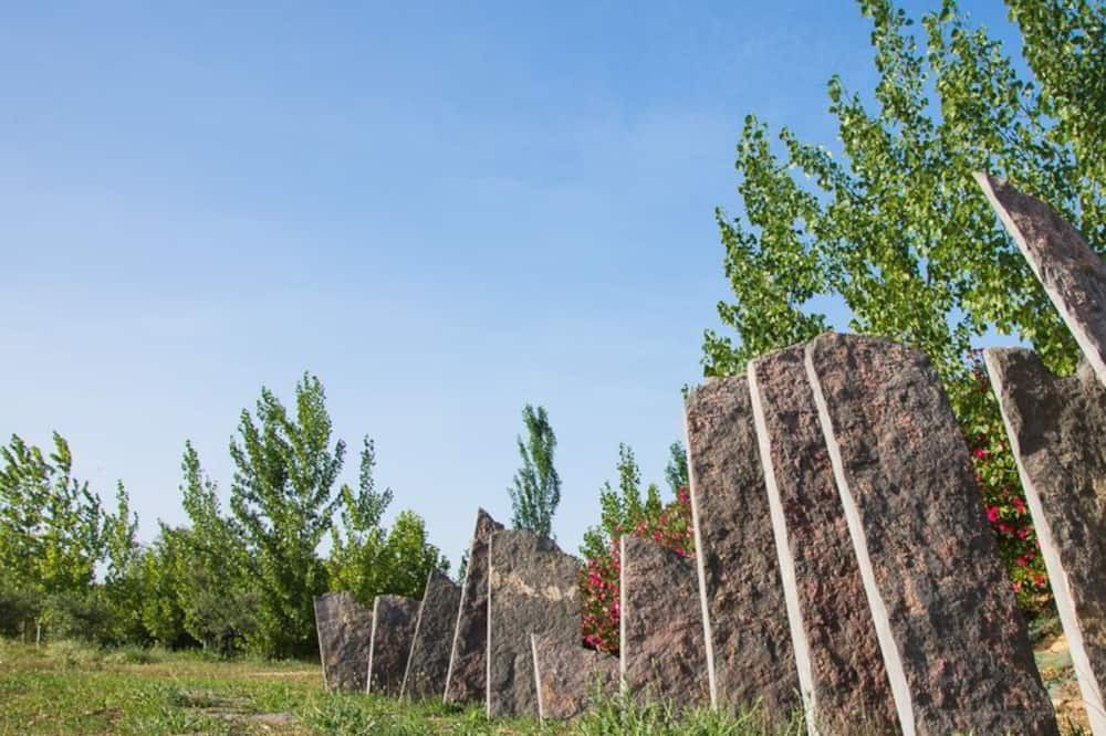 Photo of Outdoor in Calatorao