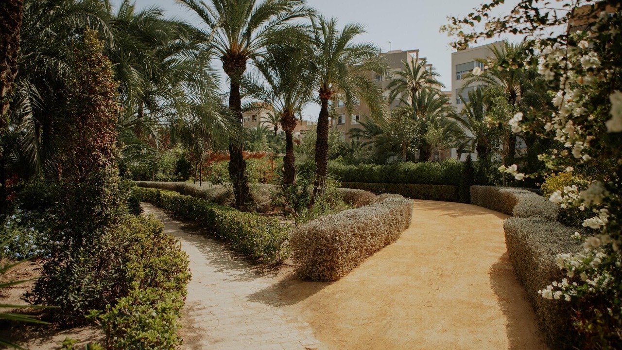 Photo of Outdoor in Elche