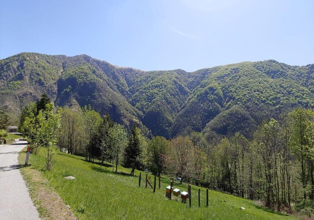 Photo of Outdoor in Cicogna