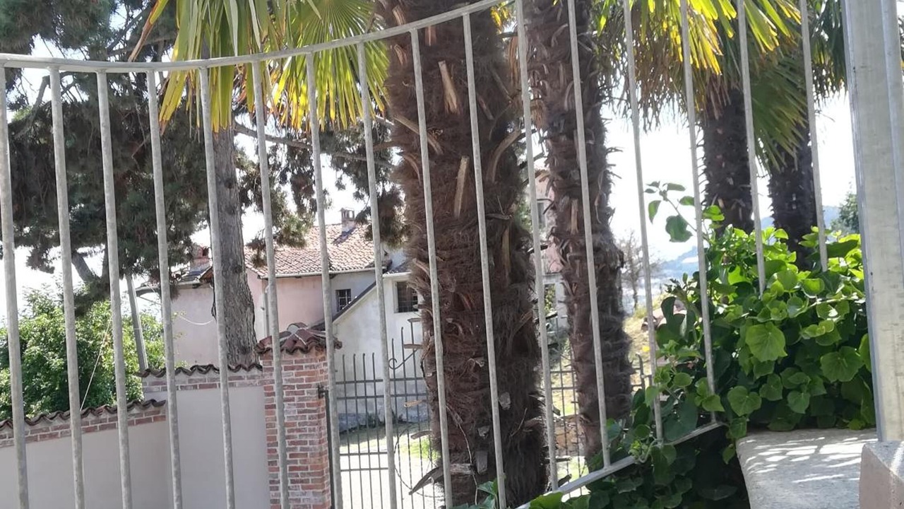 Photo of Outdoor in Busca