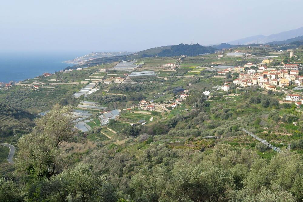 Photo of Others in Terzorio